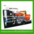 100KVA natural gas generator with Cummins/Deutz/Ricardo brand